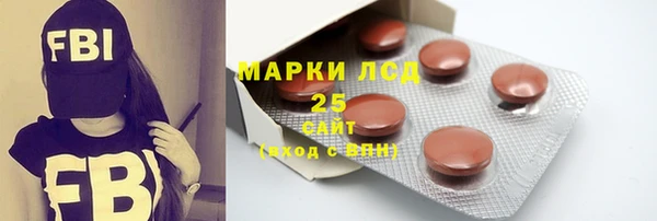 ГАЛЛЮЦИНОГЕННЫЕ ГРИБЫ Аркадак