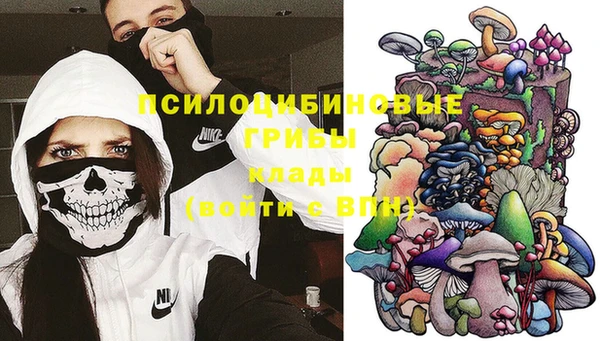ГАЛЛЮЦИНОГЕННЫЕ ГРИБЫ Аркадак