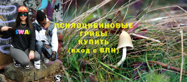 метадон Осташков
